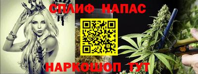 крисы Донецк