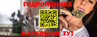 спиды Дубна