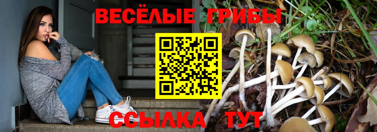 Псилоцибиновые грибы Cubensis Вятские Поляны